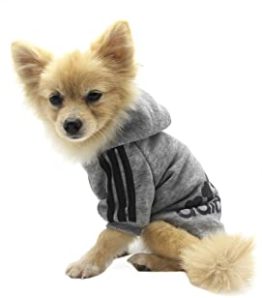 Hundebekleidung