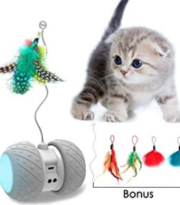 Katzenspielzeug
